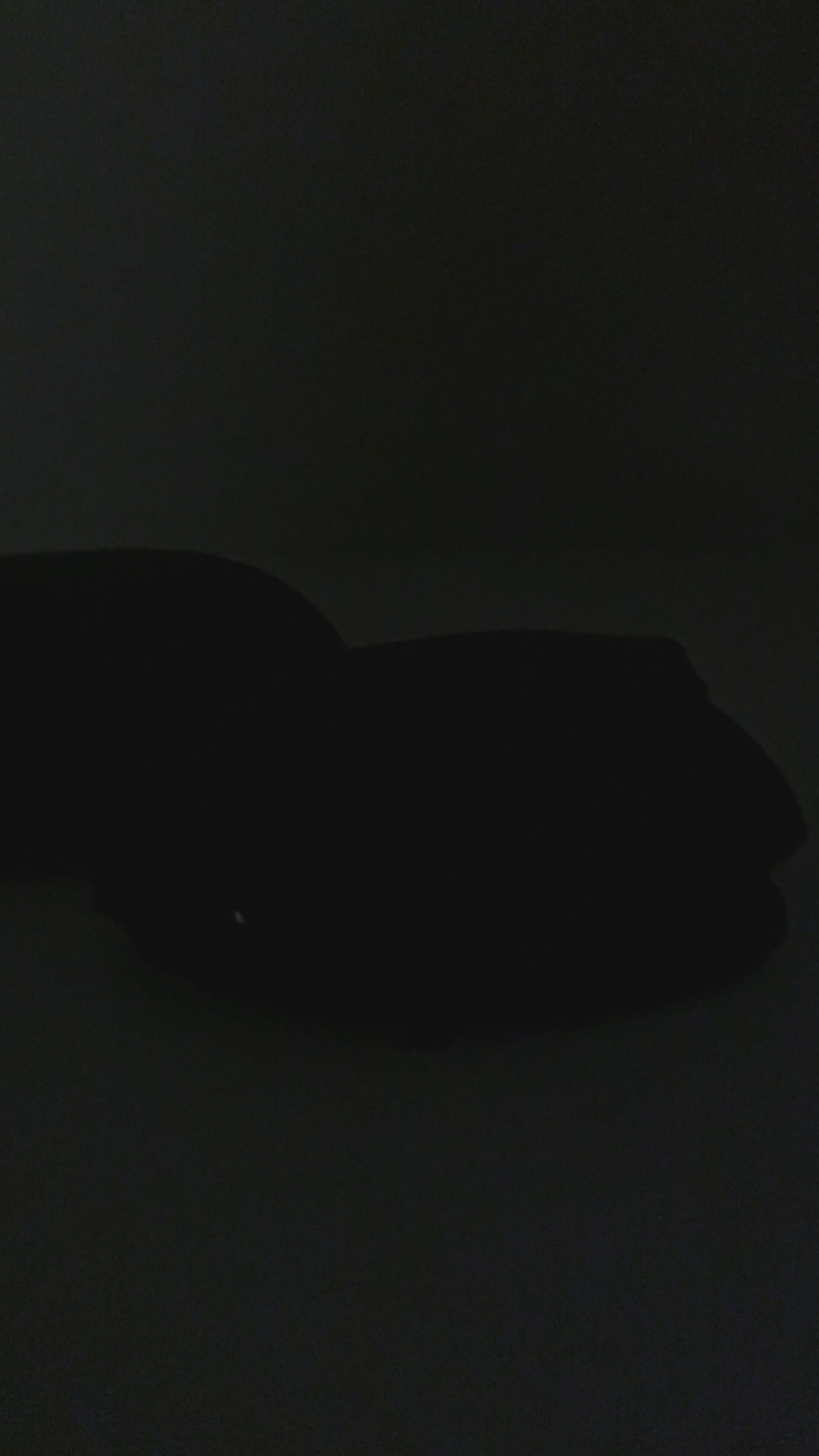 Semnalizare Dinamica LED VW - GOLF 6, TOURAN
