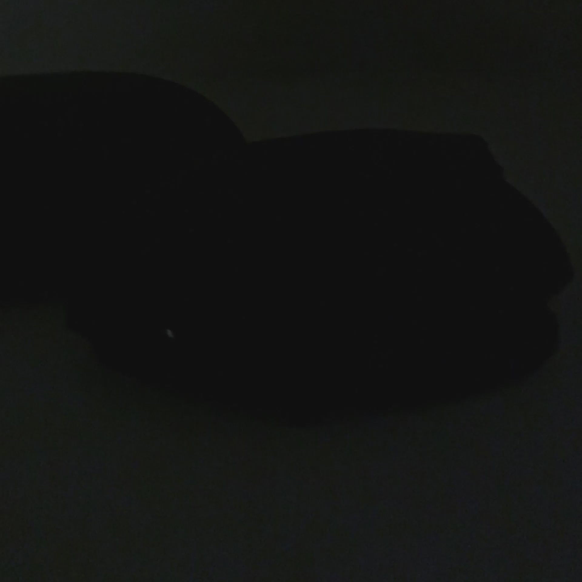 Semnalizare Dinamica LED VW - Passat B7, CC, Scirocco, EOS, Jetta, Beetle